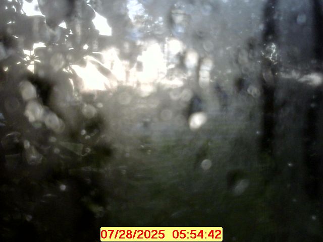 Current Webcam